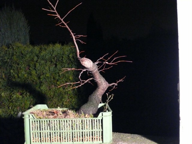 P1080535 [640x480].JPG