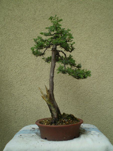 07 - sierpień 2010.JPG