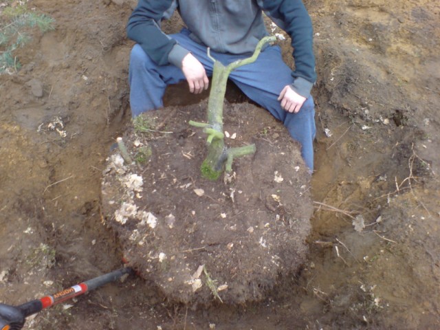 DSC00405 [640x480].JPG