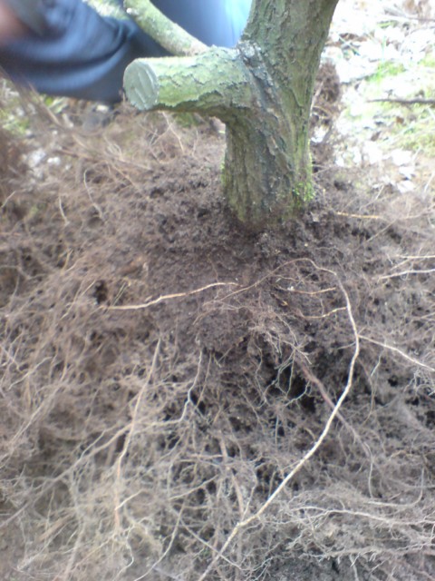 DSC00408 [640x480].JPG