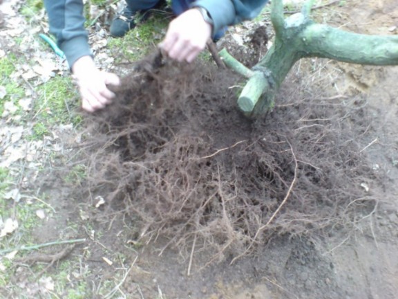 DSC00407 [640x480] [].JPG