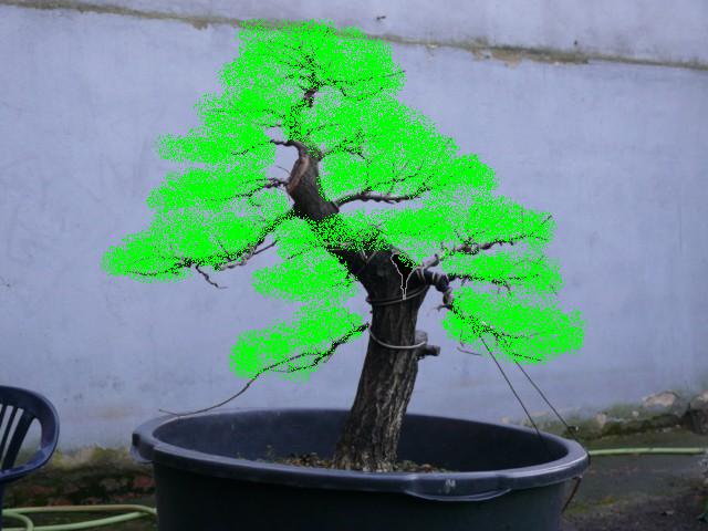 P1080801 [640x480]a.JPG