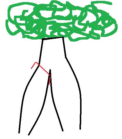 Czarny jest pień, przecięcie na czerwono