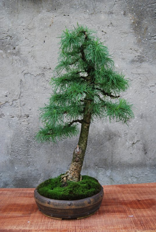 mDSC_0005.JPG