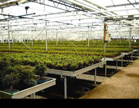 Masowa produkcja.JPG