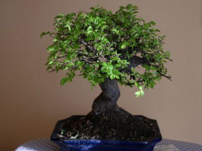 Chyba jedyne  ktore zasÂługuje na uwagĂŞ ale nie wiem czy nie za drogie.