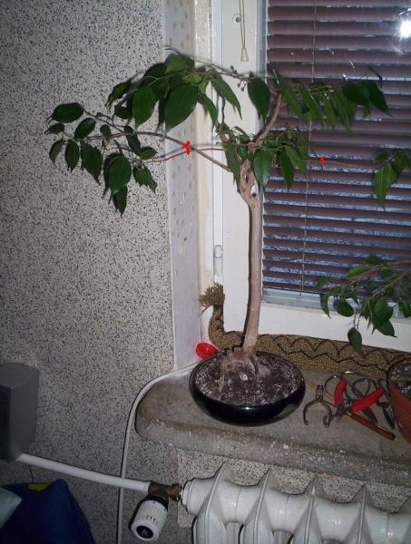 ZaznaczyÂłem tylko niektĂłre.