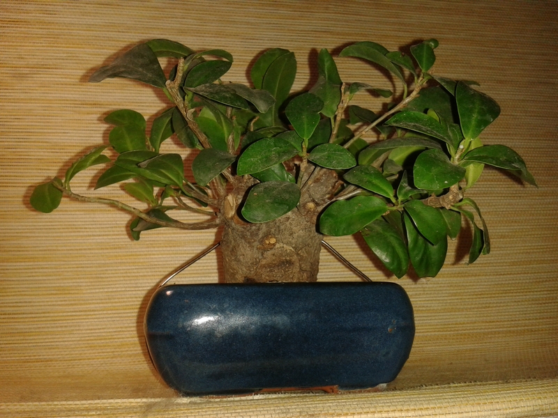 20131124_194622.jpg