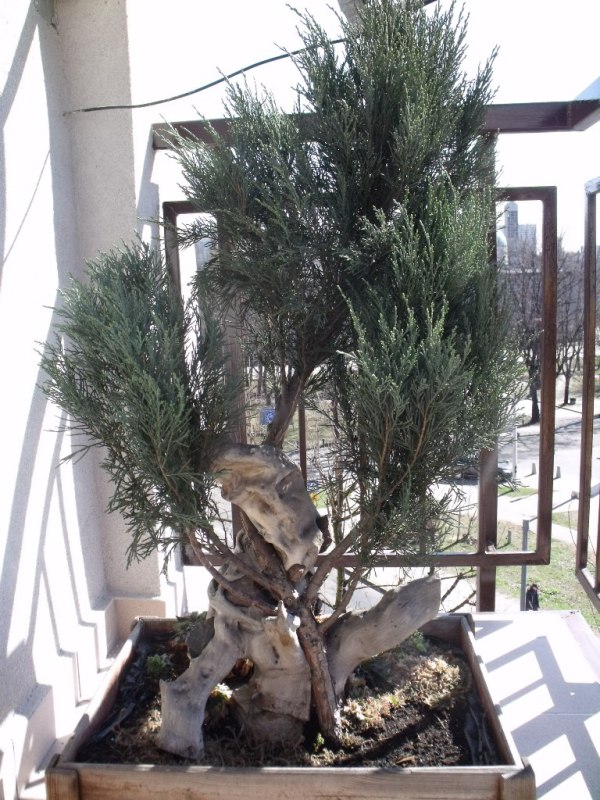 aa przed 04.2012.JPG