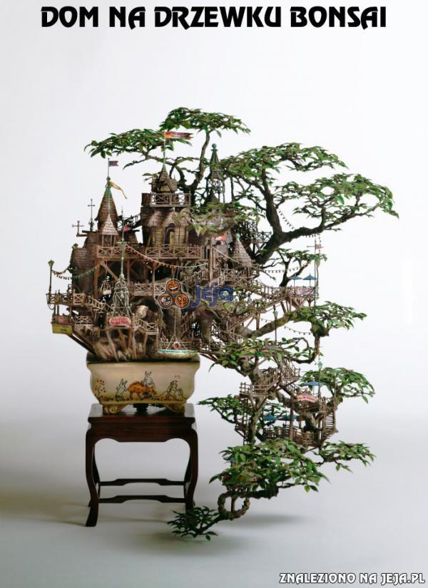 76489_dom-na-drzewku-bonsai.jpg