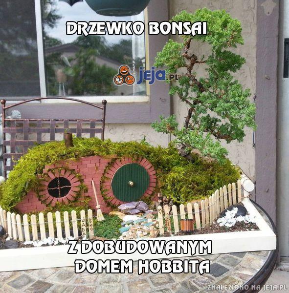 52699_drzewko-bonsai-i-dom-hobbita.jpg