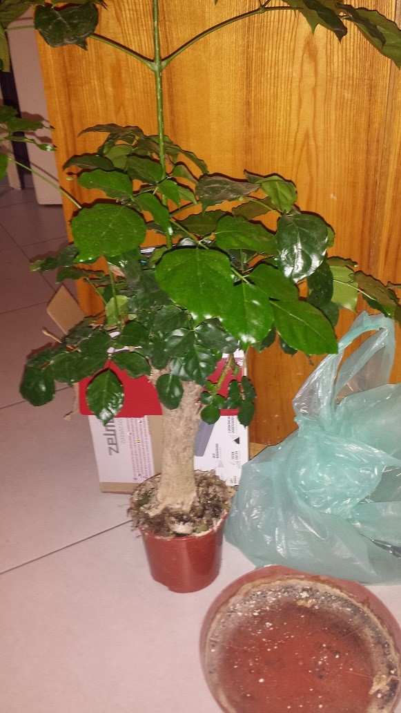 20141120_141849.jpg