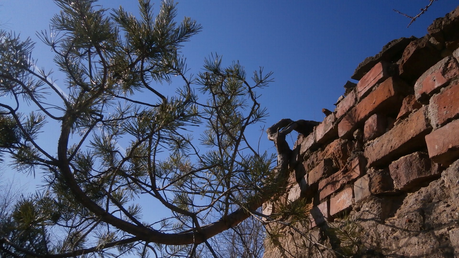 P1010426.JPG