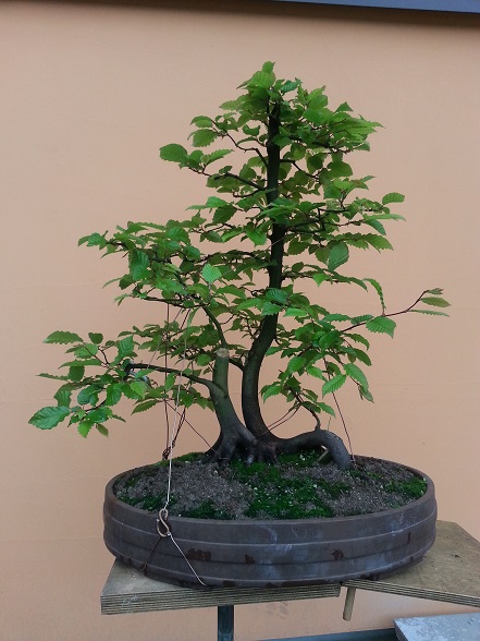 Wiosennie