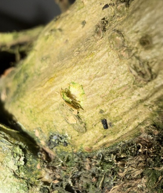 IMG_3073 Średni.jpeg