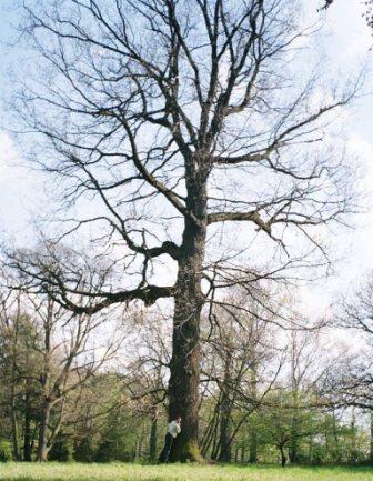 Natura_dÂąb_ jakÂą_tu _doczkĂŞ_1.JPG