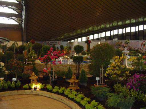 Bogactwo kwiatĂłw i barw.