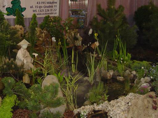 Fragmenty ogrodu japoĂąskiego.