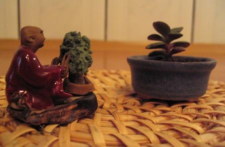 wYSOKOÂŚĂ OKOÂŁO 2 CM, A WIEK ?
<br />... wÂłaÂścicielka ma juÂż szeÂśĂŚ lat !!