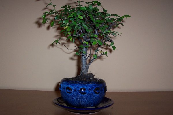 Obraz 031_600x399.jpg