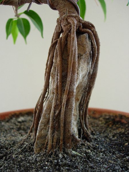 minimalnie inny profil