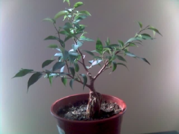 Tak wyglÂądaÂł jeszcze w maju.