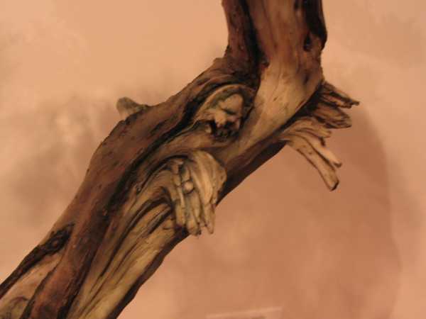 niesamowity jin i shari