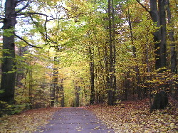 tajemnicza droga1.jpg