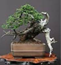 To znalazlem patrzac na miniaturke tego zdiecia!!!!!!!!!!!