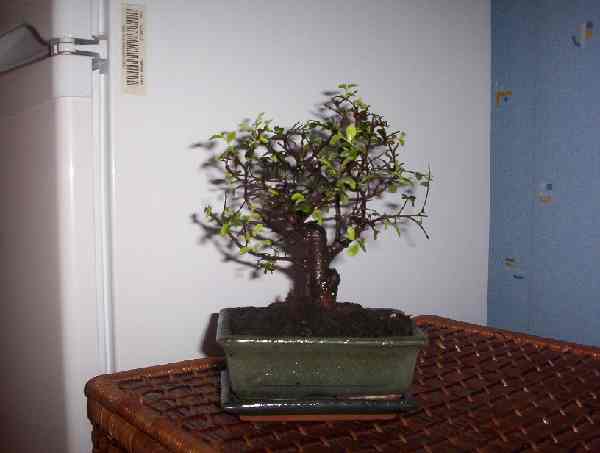 mini-mini-Obraz 005.jpg