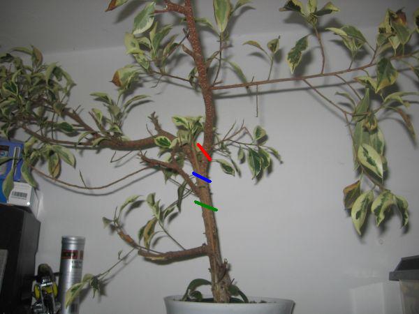 Na ktĂłrej kresce mam przeciÂąĂŚ?