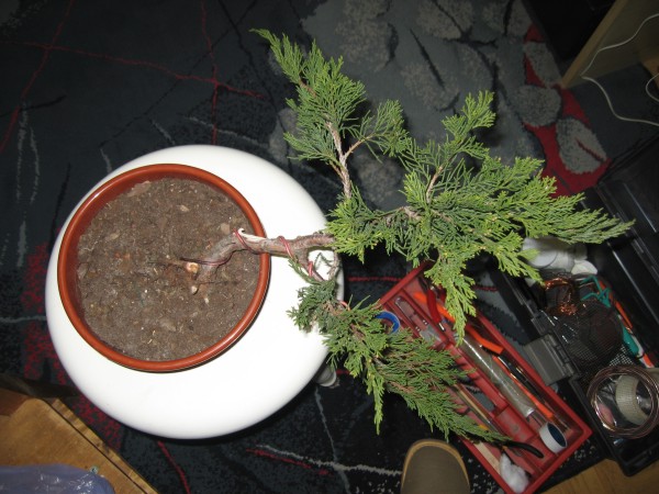 Marzec 2006
<br />Przygotowanie do formowania