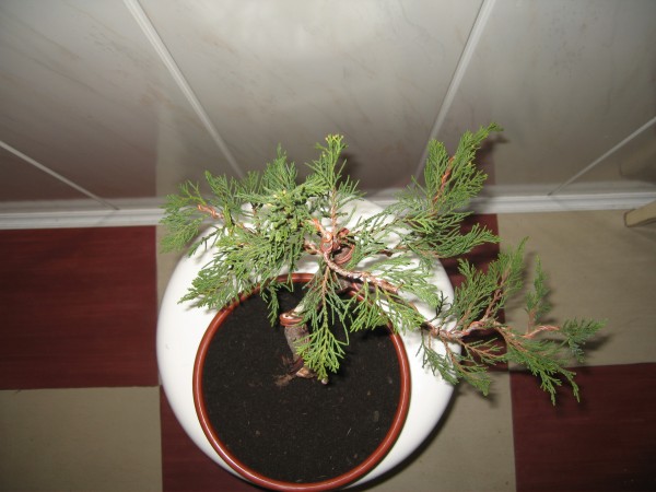 Marzec 2006
<br />GĂłra