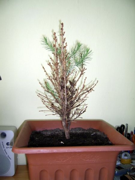 Tak wyglÂąda to biedactwo teraz!