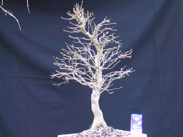 Zdjecie wczesniejsze z 2003 roku