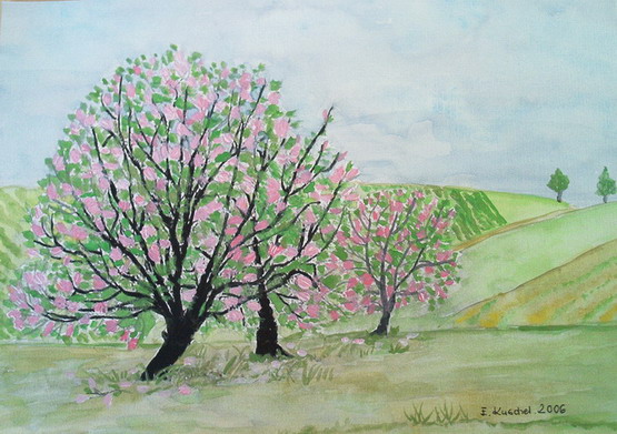 Magnoliowe drzewa