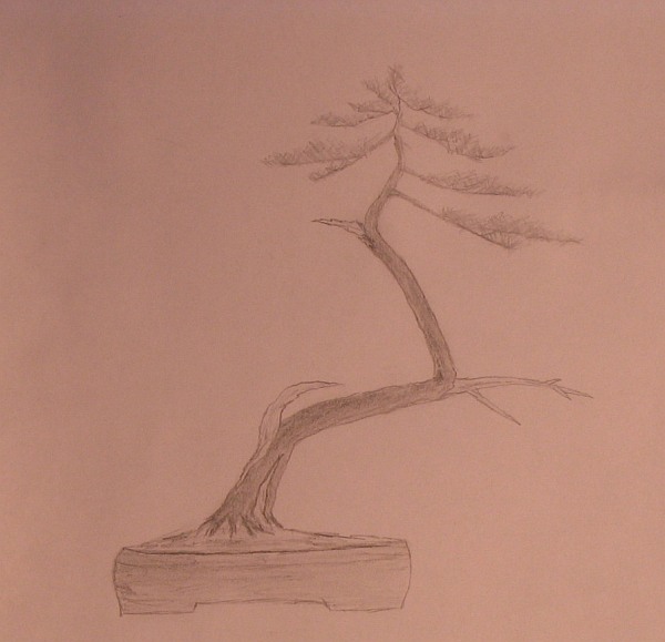 &quot;Literat , mocno powyginany +wiatr jednej strony &quot;