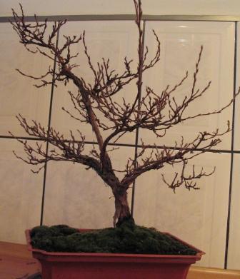 kwie_11 016_OK_ciĂŞcie.jpg