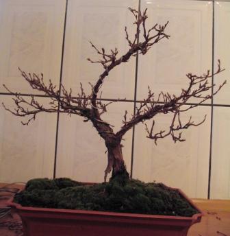 kwie_11 022_piĂŞĂŚ_II_OK.jpg