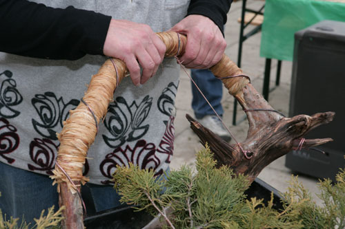 Naraze wszystko wg.planu