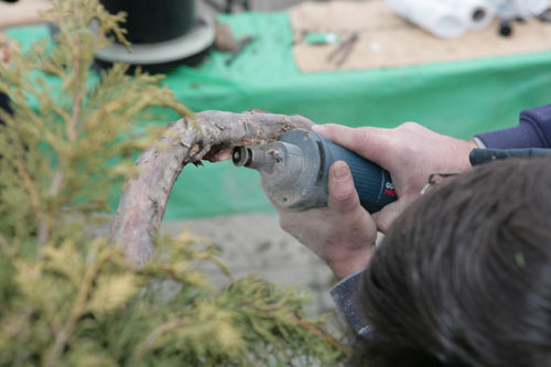 Na calej dlugosci giecia trzeba w galezi wyfrezowac jej rdzen celem jej oslabienia