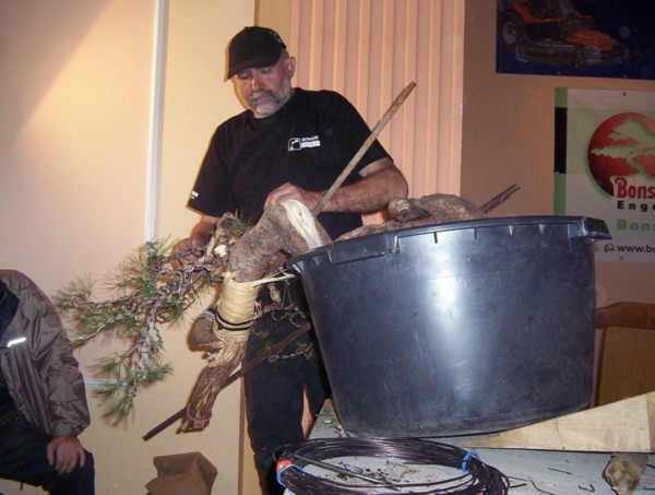 Sam Vaclav Novak przy koncowym formowaniu sosny