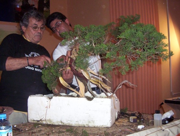 Prace nad martwym drewnem