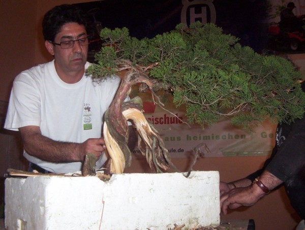 Salvadore Liporace podczas poczÂątkowych prac na materiale(jaÂłowiec)