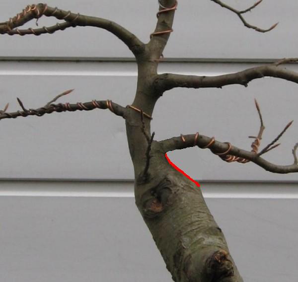 Tak by to miaÂło wyglÂądaĂŚ po ciĂŞciu??