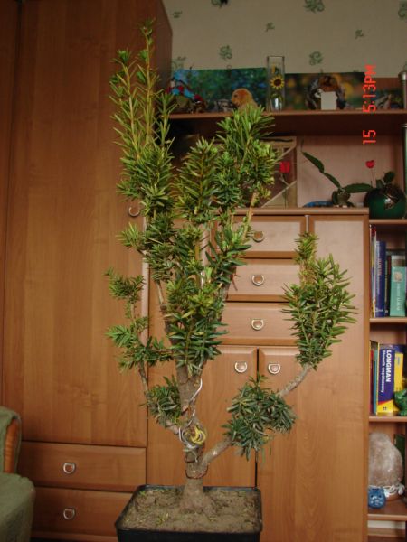 TyÂł
<br />WyglÂąda doÂśĂŚ chaotycznie, ale to sie jeszcze zmieni.