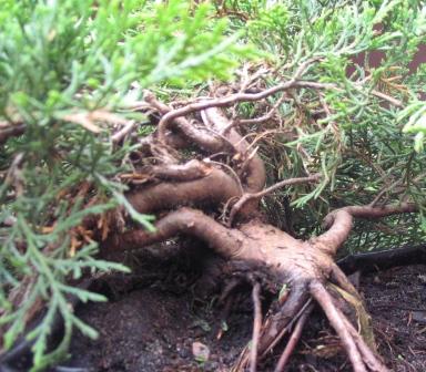 4-20.05.26 014_OK.jpg