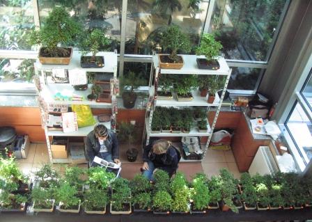 widok z kawiarni na wejÂście