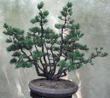 09_06_ÂŁĂłdÂź 013a.jpg