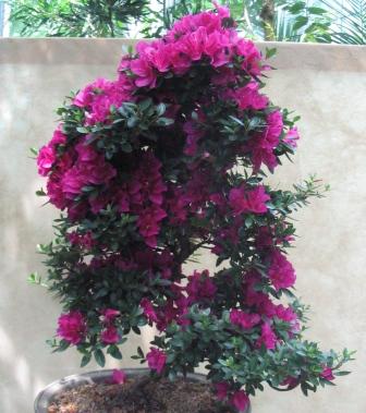 09_06_ÂŁĂłdÂź 015a.jpg